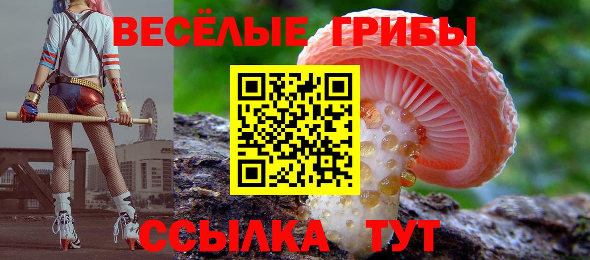 Лесосибирск  Псилоцибиновые грибы Psilocybe  Вход с VPN  Псилоцибиновые грибы мицелий 