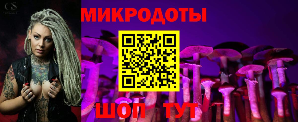 Галлюциногенные грибы мухоморы Лесосибирск